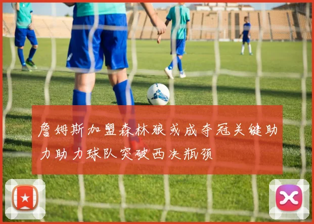 詹姆斯加盟森林狼或成夺冠关键助力助力球队突破西决瓶颈