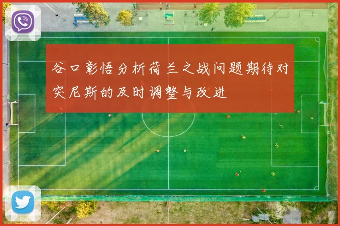 谷口彰悟分析荷兰之战问题期待对突尼斯的及时调整与改进